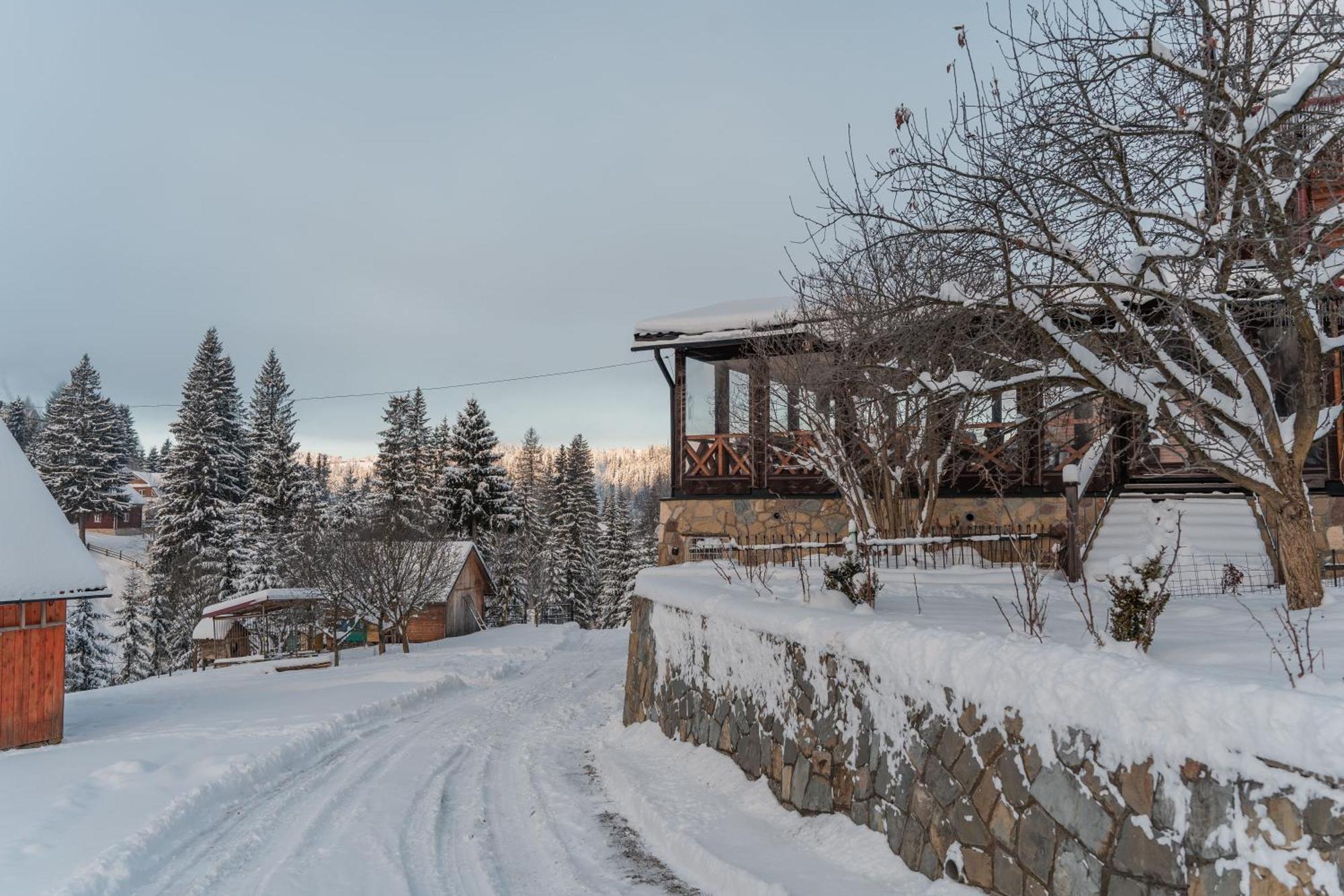 Гостьовий Дім "У Ані" Hotell Jablunytsja Eksteriør bilde